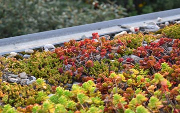 the cost of Carn green roof installation