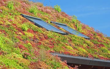 Carn living roof systems