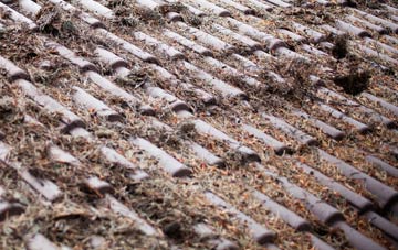 Carn roof cleaning companies